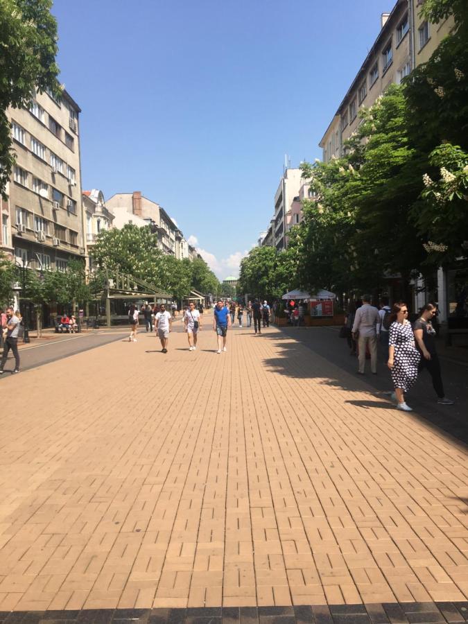 Evergreen Sofia Apartment Bagian luar foto